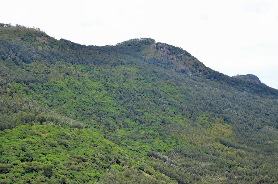 Tayrona National Park