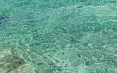 Playa Blanca en Barú: Paraíso de aguas cristalinas cerca de Cartagena